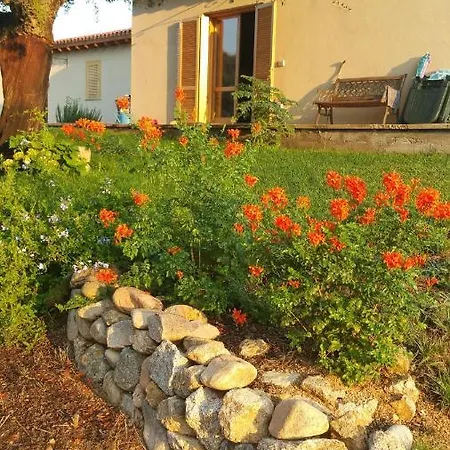 Bed & Breakfast Sherdana's